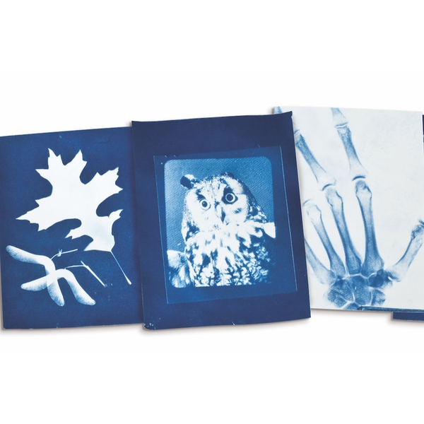 Sunography - Paper