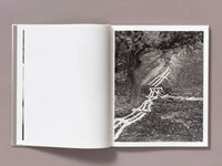 Ian Bates: The Weight Of Ash