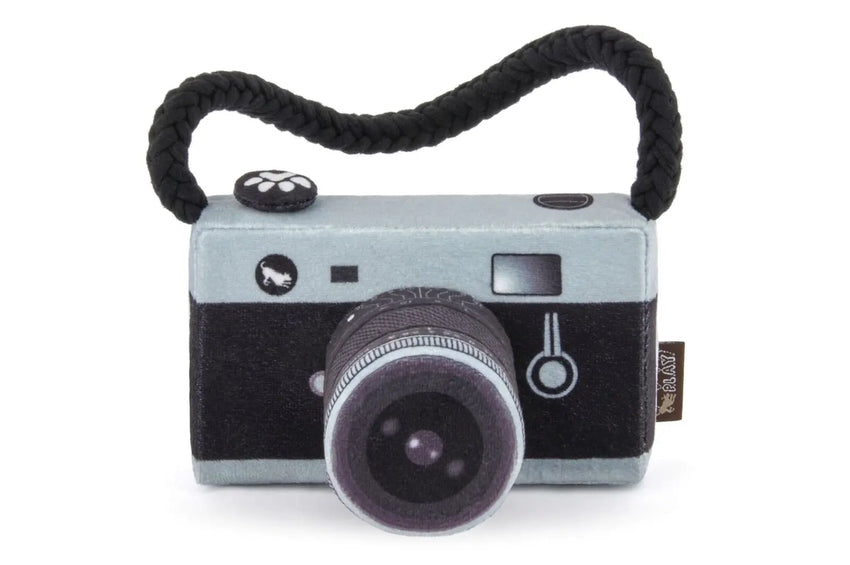 Camera Dog Toy