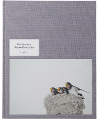 Rinko Kawauchi: Des Oiseaux