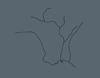 Mark Ruwedel: Landscapes of Four Ecologies, Volume 1: Rivers Run Through It