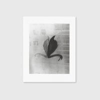Sayuri Ichida: Absentee