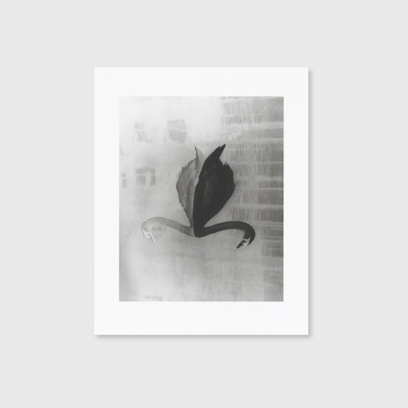 Sayuri Ichida: Absentee