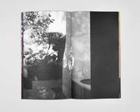 Lindsay Buchman: Earth Sky Plant Ground