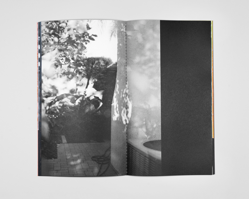 Lindsay Buchman: Earth Sky Plant Ground