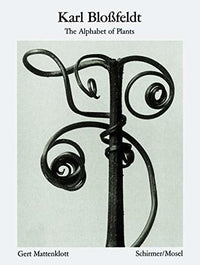 Karl Blossfeldt: Alphabet of Plants