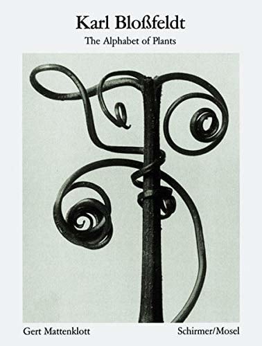 Karl Blossfeldt: Alphabet of Plants