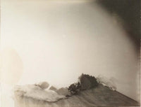 Laura Letinsky: Time's Assignation