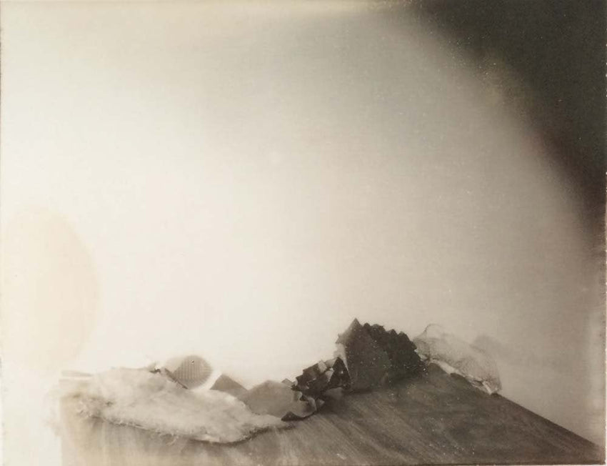 Laura Letinsky: Time's Assignation