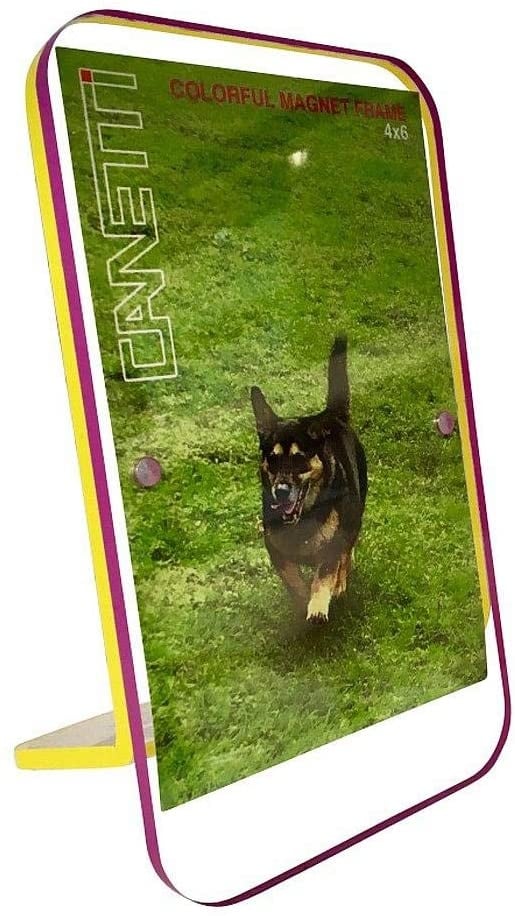 Photo Frame Purple/Yellow 4x6
