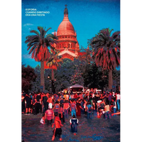 Javier Godoy & Pablo Zamorano: Euforia - Cuando Santiago era una Fiesta