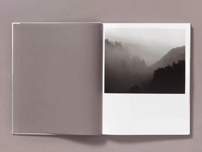Ian Bates: The Weight Of Ash