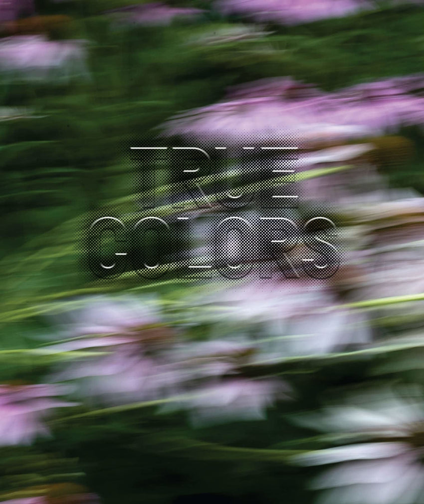 Zora Murff: True Colors (or, Affirmations in a Crisis)