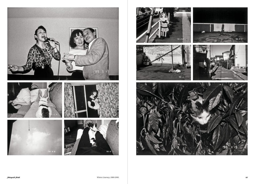 Love Songs: Photography and Intimacy