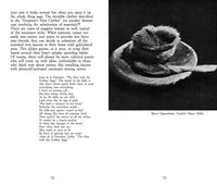 Bruno Munari: Fantasy