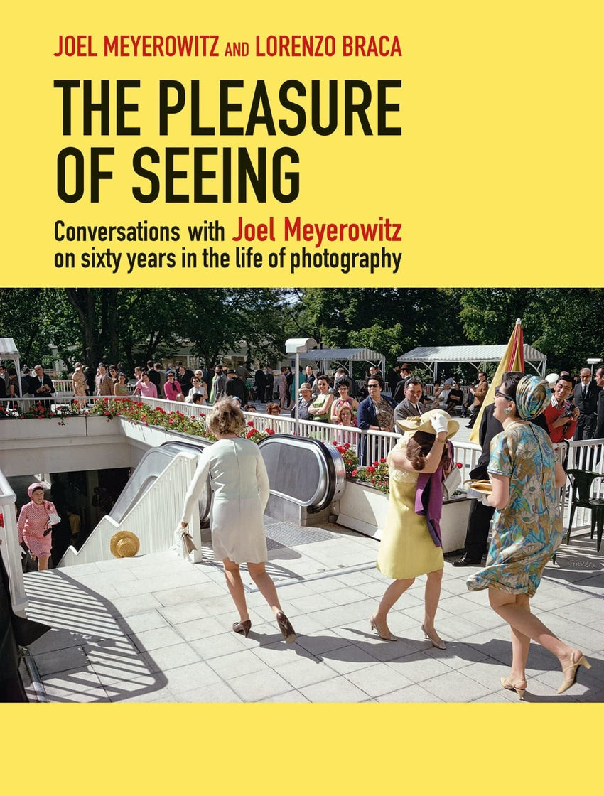 Joel Meyerowitz: The Pleasure of Seeing