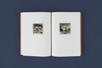 Cai Dongdong: Left, Right