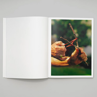 Erli Grünzweil: Where Deer Fly and Stones Cry