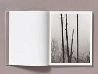 Ian Bates: The Weight Of Ash