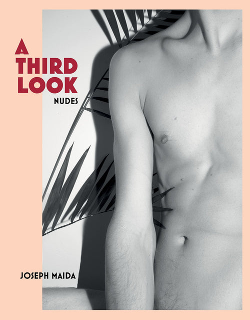 Joseph Maida: A Third Look