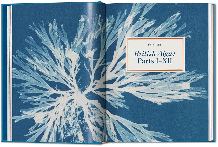 Anna Atkins. Cyanotypes. 45th Ed. (45th Edition) (Multilingual Edition)