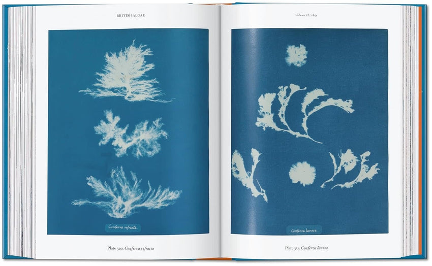 Anna Atkins. Cyanotypes. 45th Ed. (45th Edition) (Multilingual Edition)
