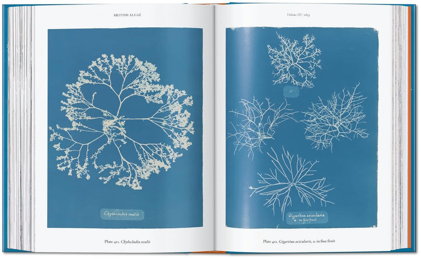 Anna Atkins. Cyanotypes. 45th Ed. (45th Edition) (Multilingual Edition)