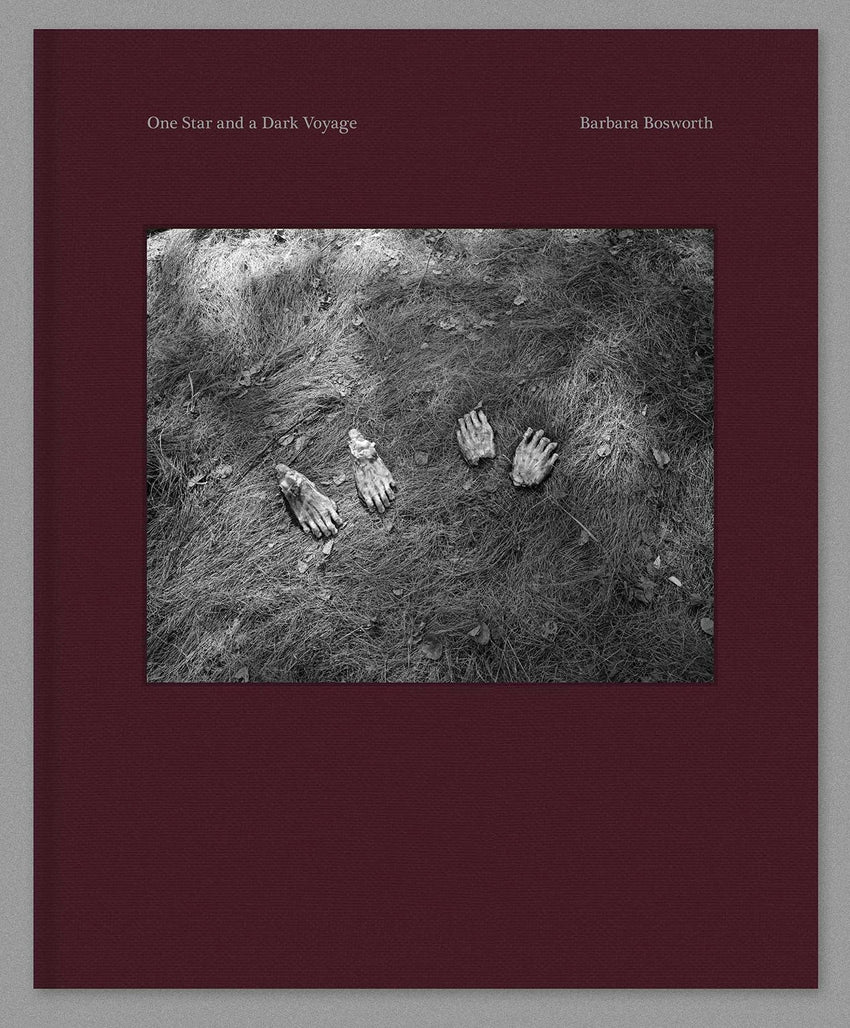 Bosworth One Star and a Dark Voyage