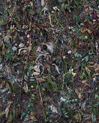 Tanya Marcuse: Fruitless/Fallen/Woven