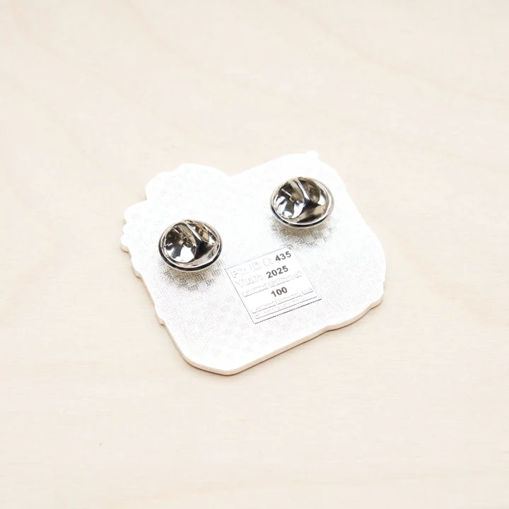 Digital Mirrorless SLR Camera Pin #7