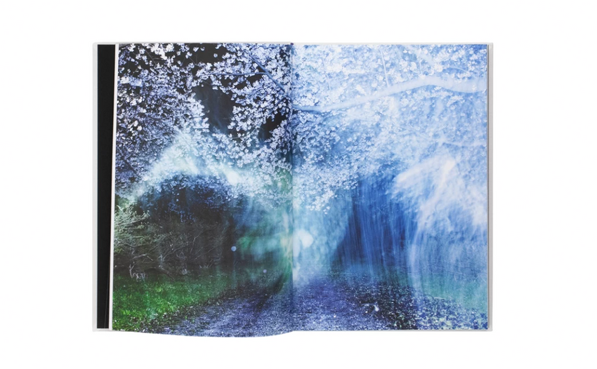 Ai Iwane: A New River Flows