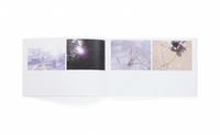 Rinko Kawauchi and Seung Woo Back: Composition No. 1