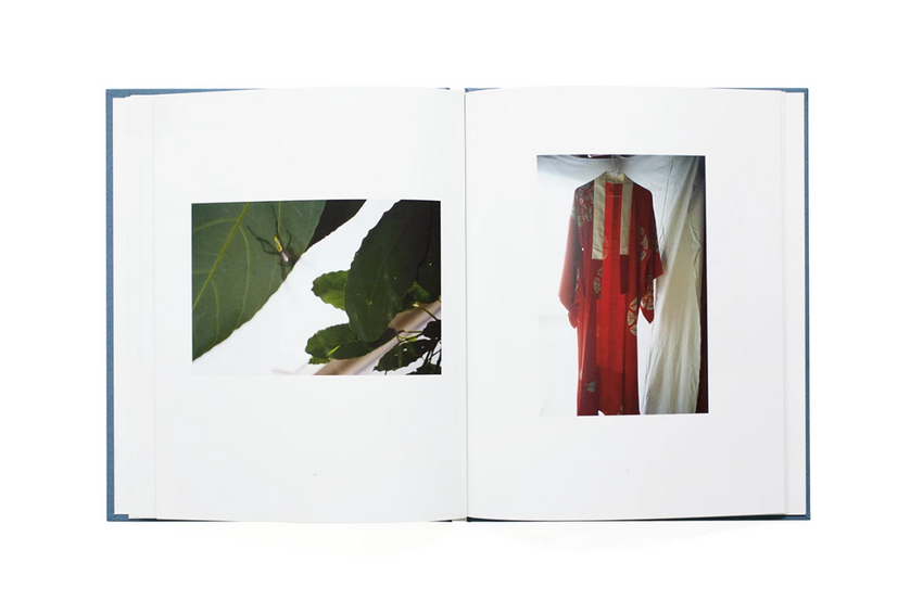 Miyako Ishiuchi: One Days