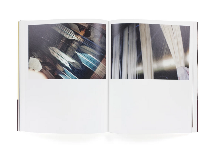 Miyako Ishiuchi: From Cocoons