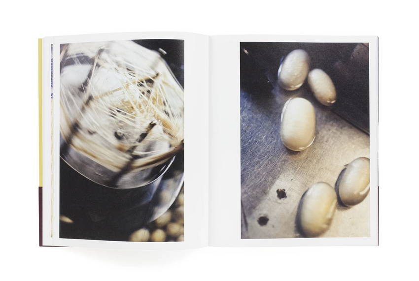 Miyako Ishiuchi: From Cocoons