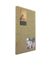 Mari Katayama: Mother River Homing