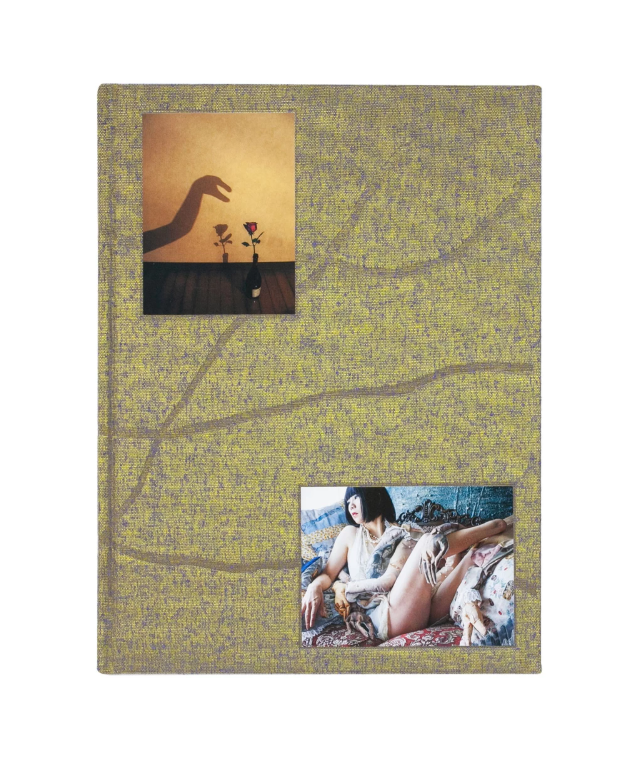 Mari Katayama: Mother River Homing