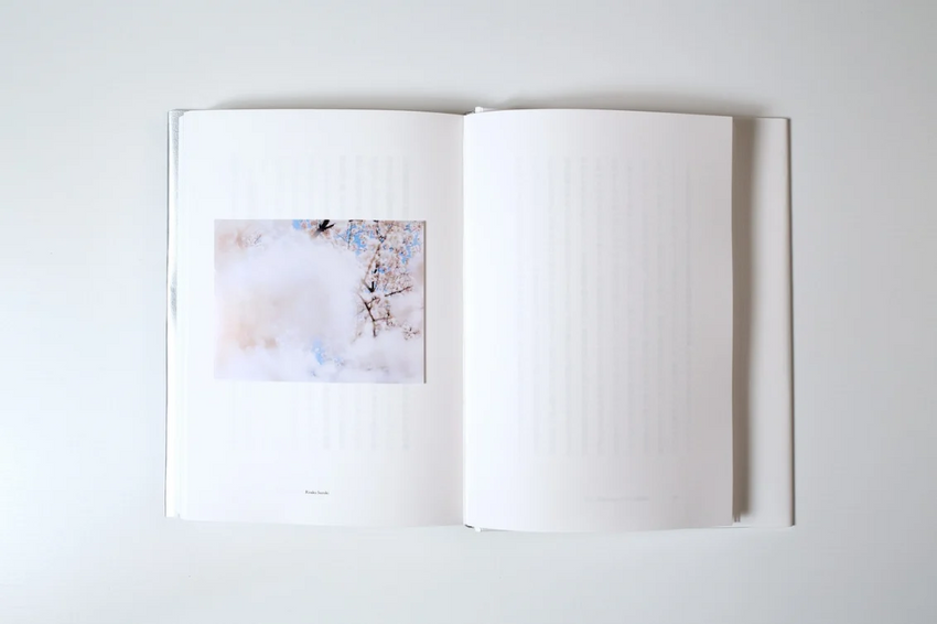 Mariko Takeuchi: Silence and Image
