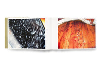 Aya Fujioka: Life Studies