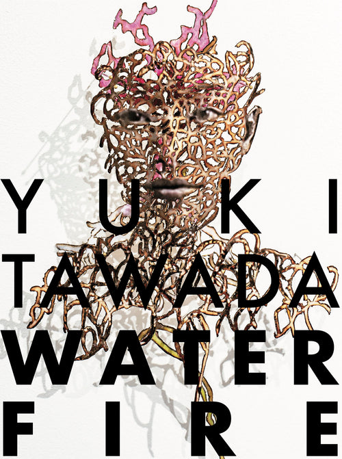 Yuki Tawada: Water Fire