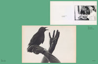 Anne Lacoste & Rose Durr: L is for Look