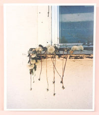 Wytske van Keulen: Stick Holding Branch