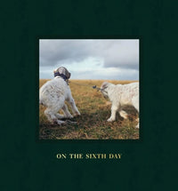Alessandra Sanguinetti: On the Sixth Day