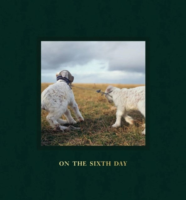Alessandra Sanguinetti: On the Sixth Day