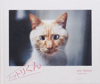 Yasushi Mori: Hey! Hattori