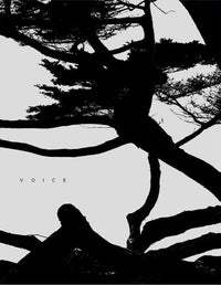 Jungjin Lee: Voice