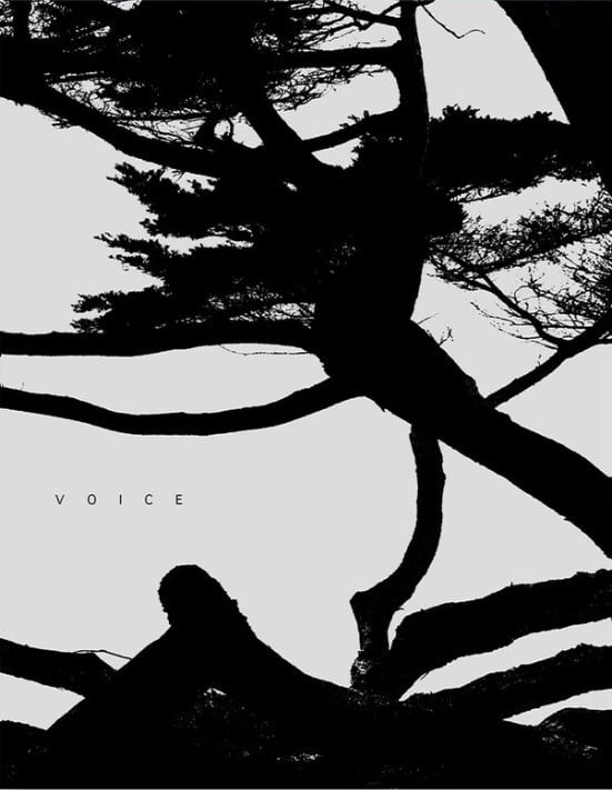 Jungjin Lee: Voice