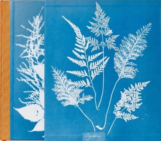 Anna Atkins: Cyanotypes