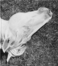 Mimi Plumb: Megalith-Still