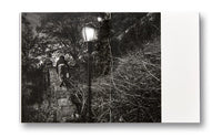 Adam Pape: Dyckman Haze
